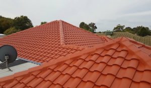 Successful Roof Coating1